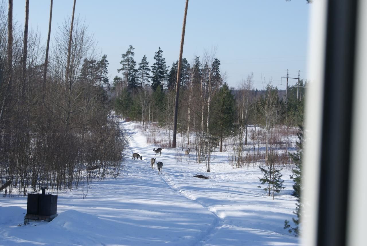 Загородные дома Sepa Talu Aakre-40