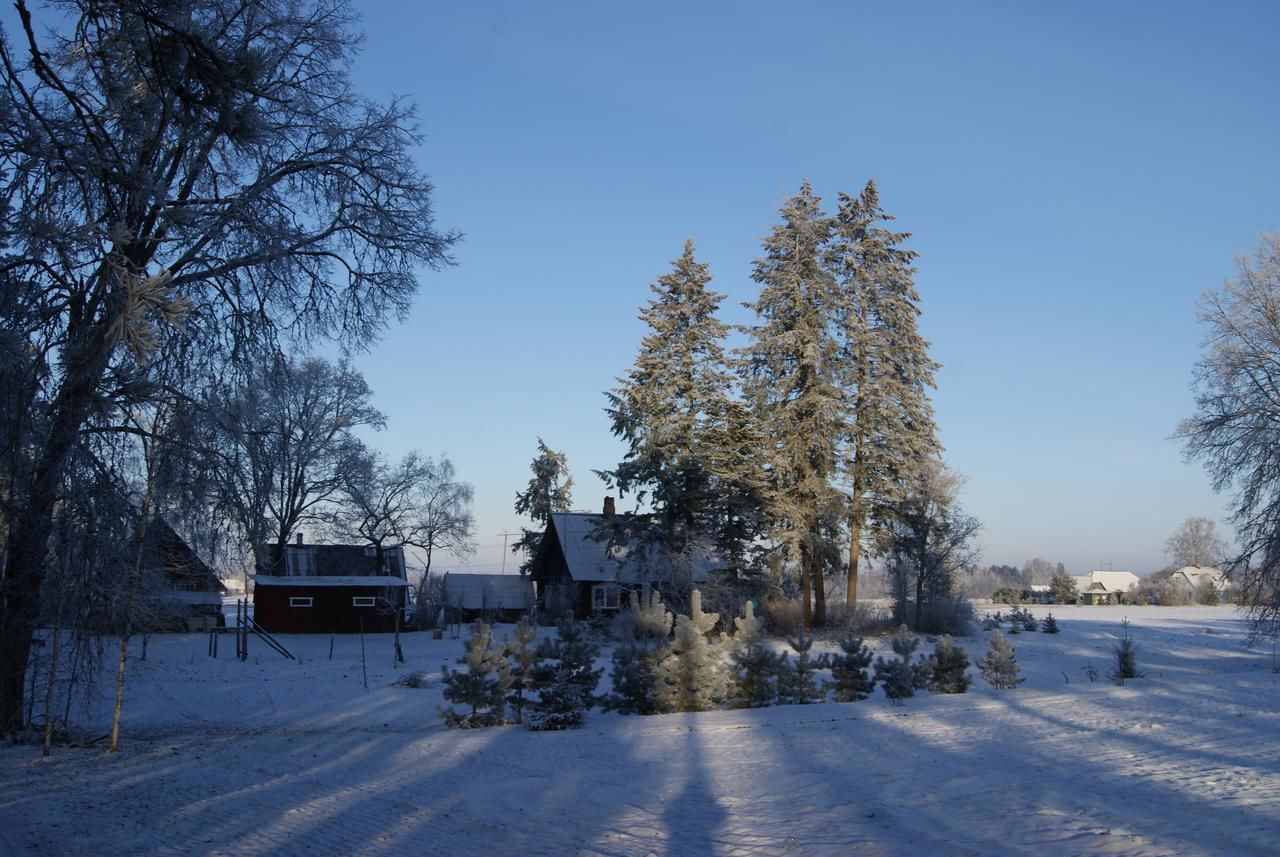 Загородные дома Sepa Talu Aakre-41